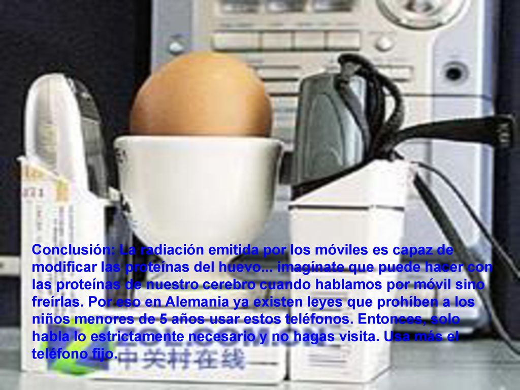 Conclusión: La radiación emitida por los móviles es capaz de modificar las proteínas del huevo...