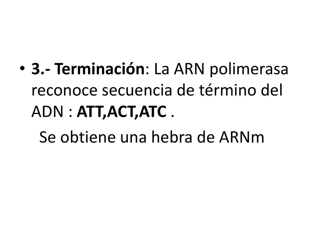 3.- Terminación: La ARN polimerasa reconoce secuencia de término del ADN : ATT,ACT,ATC .