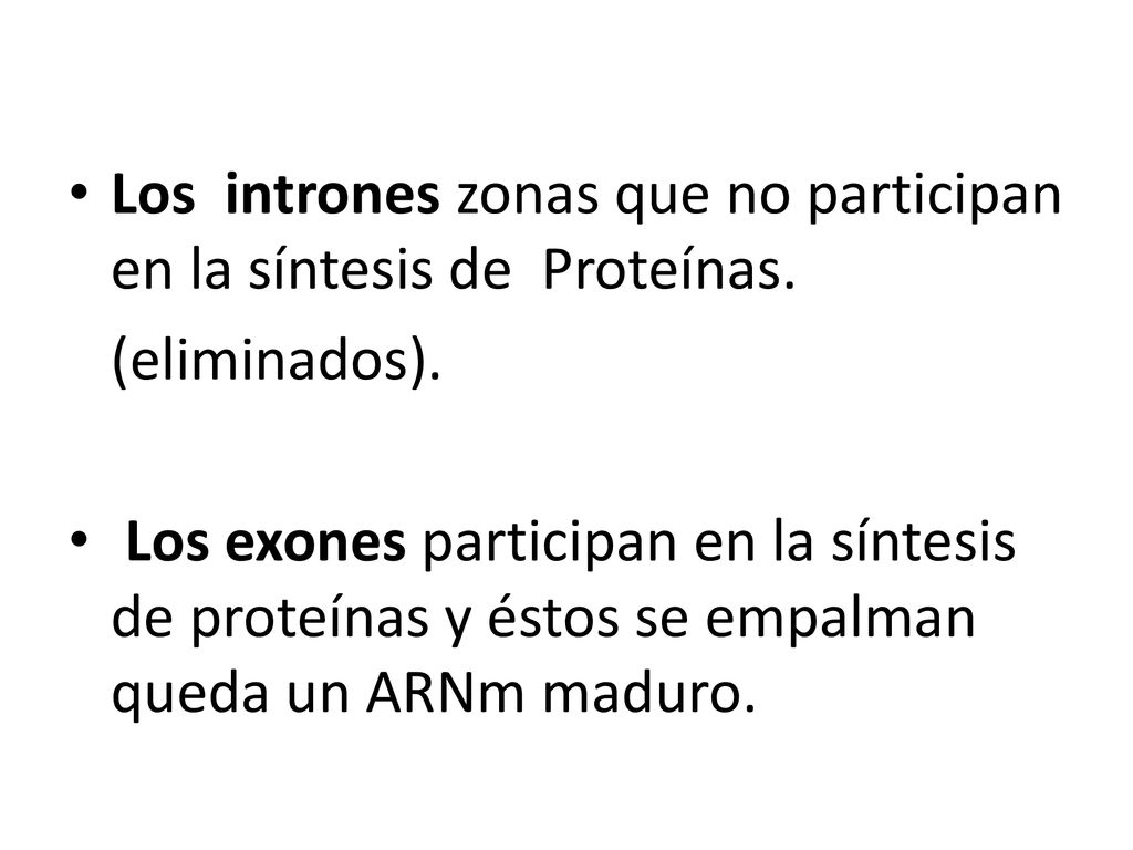 Los intrones zonas que no participan en la síntesis de Proteínas.