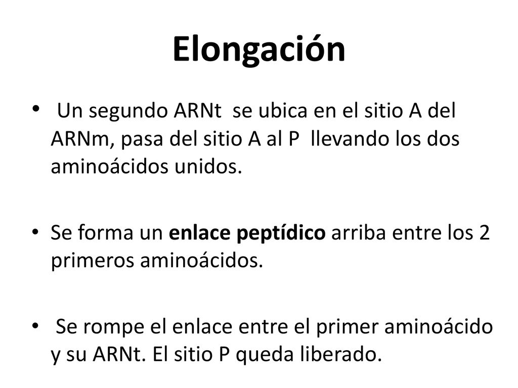 Elongación Un segundo ARNt se ubica en el sitio A del ARNm, pasa del sitio A al P llevando los dos aminoácidos unidos.