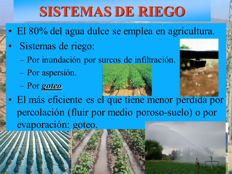 SISTEMAS DE RIEGO El 80% del agua dulce se emplea en agricultura.