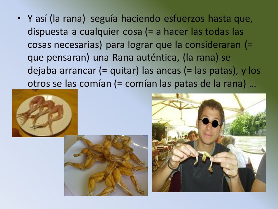 Y así (la rana) seguía haciendo esfuerzos hasta que, dispuesta a cualquier cosa (= a hacer las todas las cosas necesarias) para lograr que la consideraran (= que pensaran) una Rana auténtica, (la rana) se dejaba arrancar (= quitar) las ancas (= las patas), y los otros se las comían (= comían las patas de la rana) …