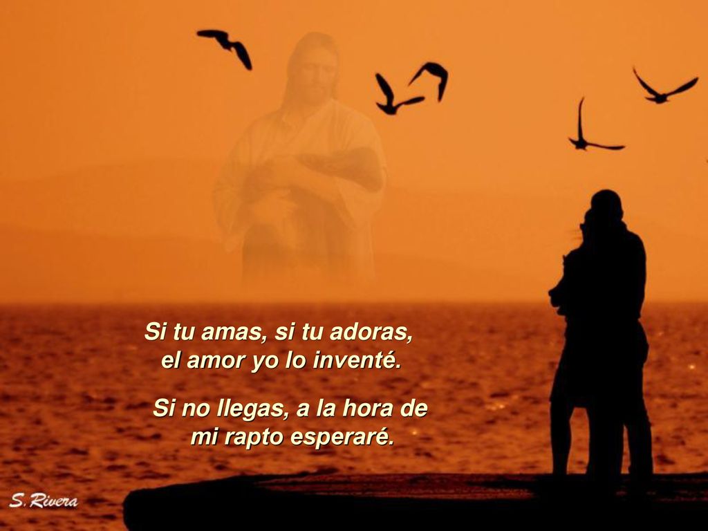 Si tu amas, si tu adoras, el amor yo lo inventé. Si no llegas, a la hora de mi rapto esperaré.