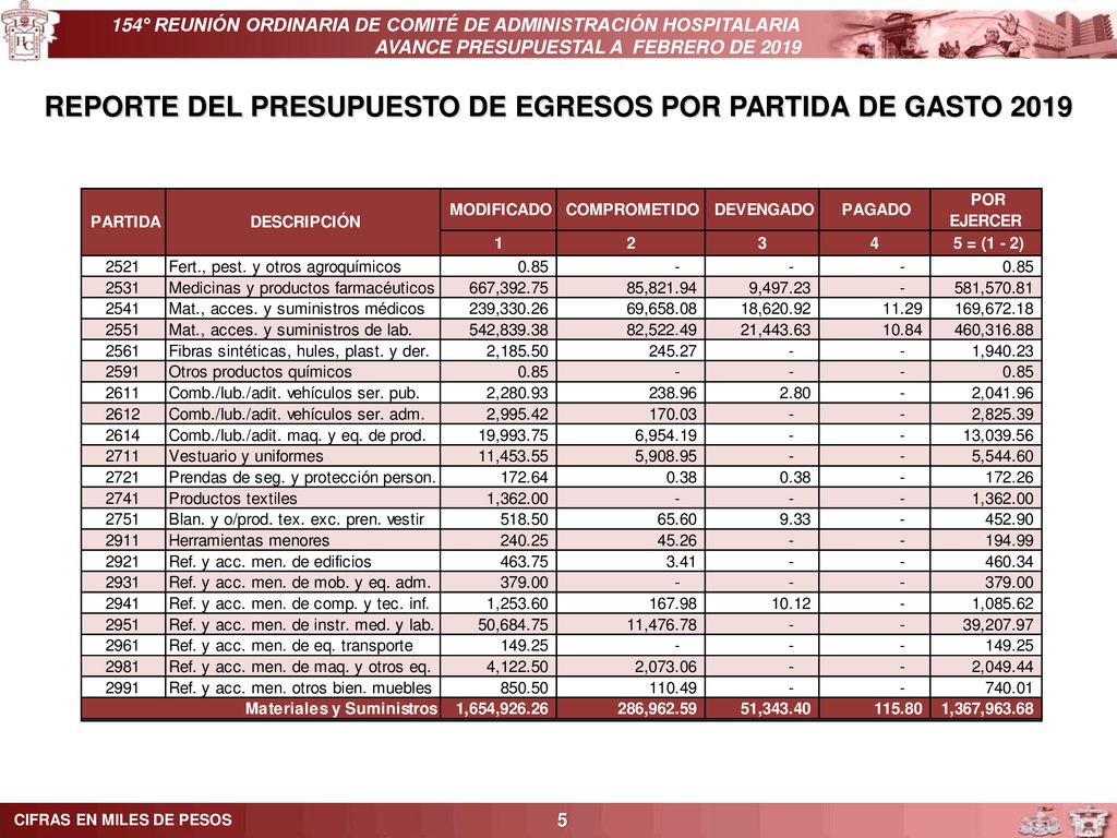 REPORTE DEL PRESUPUESTO DE EGRESOS POR PARTIDA DE GASTO 2019