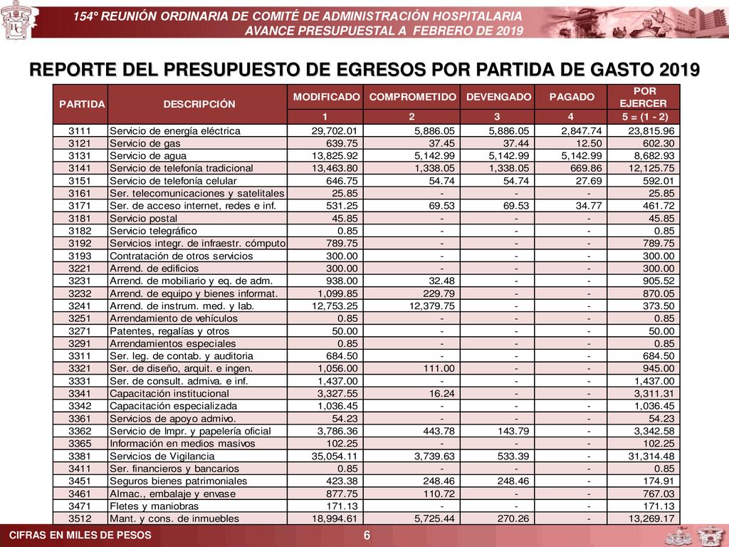 REPORTE DEL PRESUPUESTO DE EGRESOS POR PARTIDA DE GASTO 2019