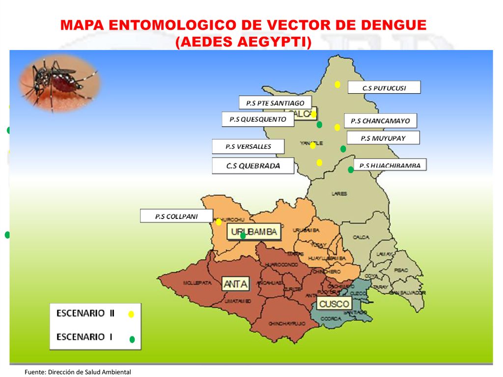 MAPA ENTOMOLOGICO DE VECTOR DE DENGUE (Aedes aegypti) RED RED CUSCO NORTE: 2012 – 2016 * (III – TRIMESTRE) MAPA ENTOMOLOGICO PARA Aedes aegypti MICRO REDES YANATILE Y URUBAMBA RED CUSCO NORTE