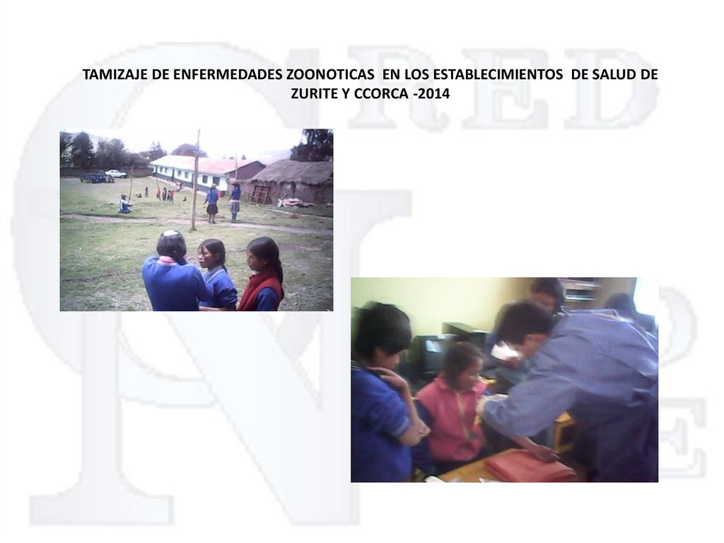 TAMIZAJE DE ENFERMEDADES ZOONOTICAS EN LOS ESTABLECIMIENTOS DE SALUD DE ZURITE Y CCORCA -2014
