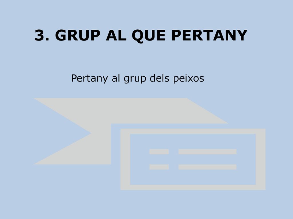 3. GRUP AL QUE PERTANY Pertany al grup dels peixos