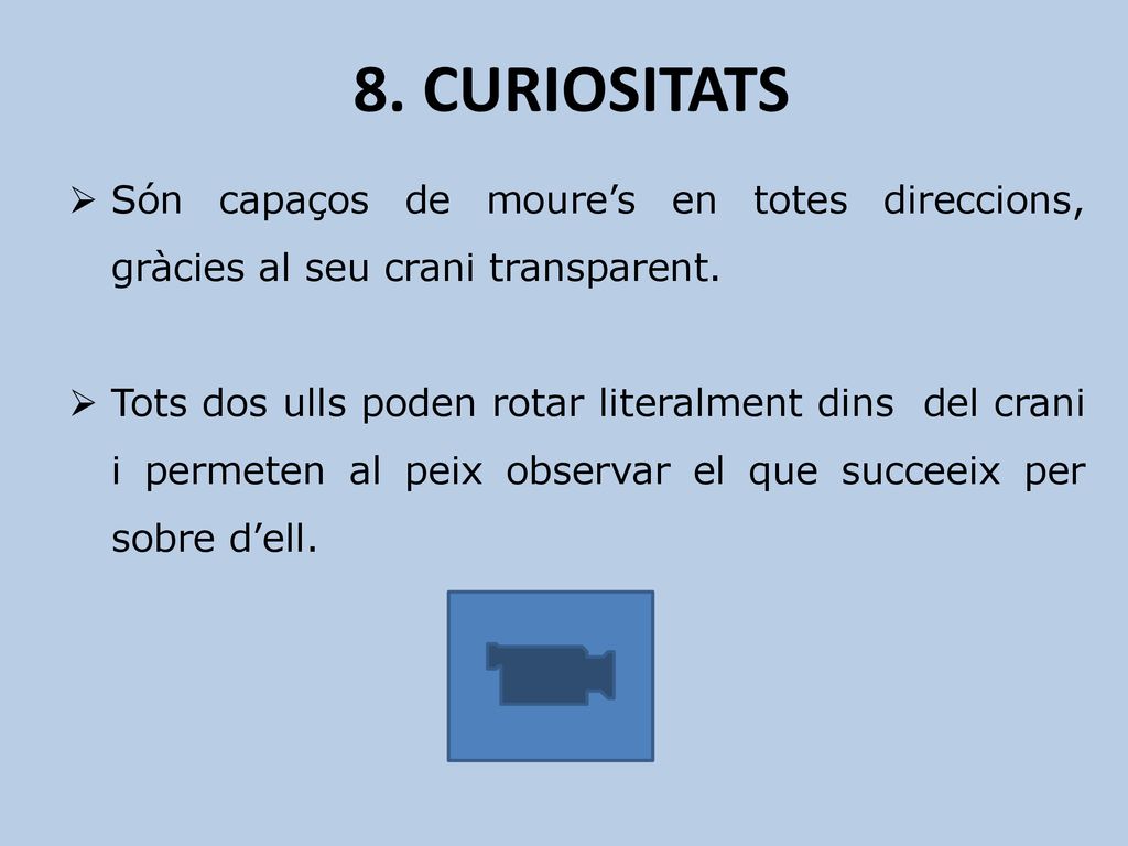 8. CURIOSITATS Són capaços de moure’s en totes direccions, gràcies al seu crani transparent.