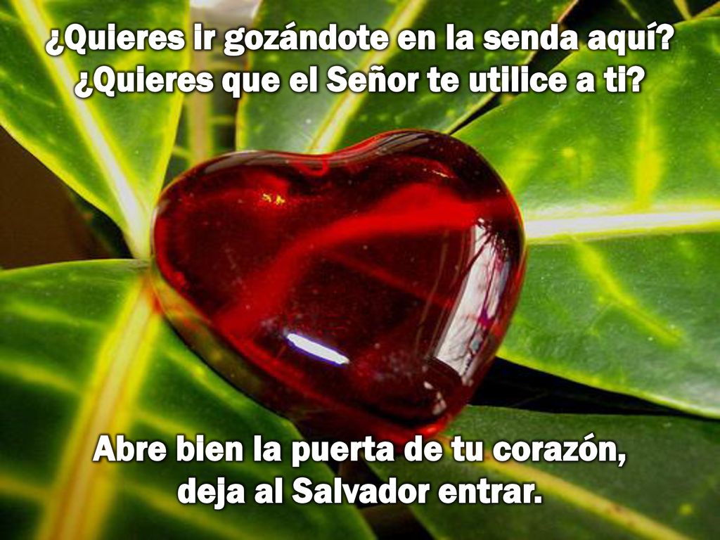 Abre bien la puerta de tu corazón, deja al Salvador entrar.