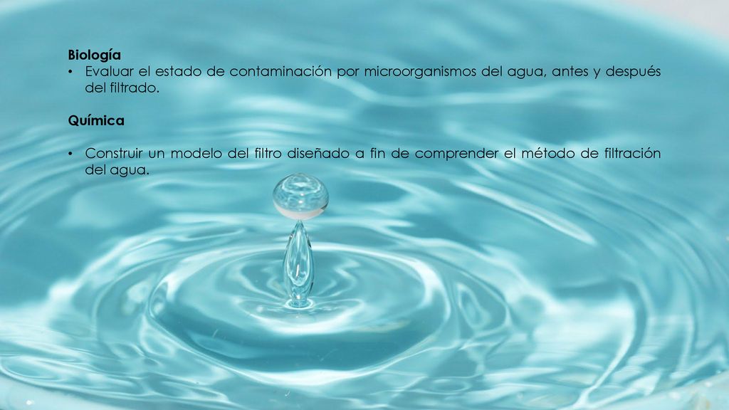 Biología Evaluar el estado de contaminación por microorganismos del agua, antes y después del filtrado.
