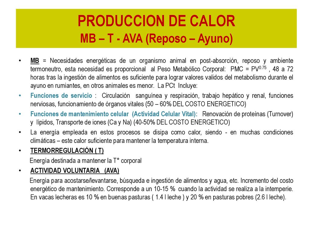 PRODUCCION DE CALOR MB – T - AVA (Reposo – Ayuno)