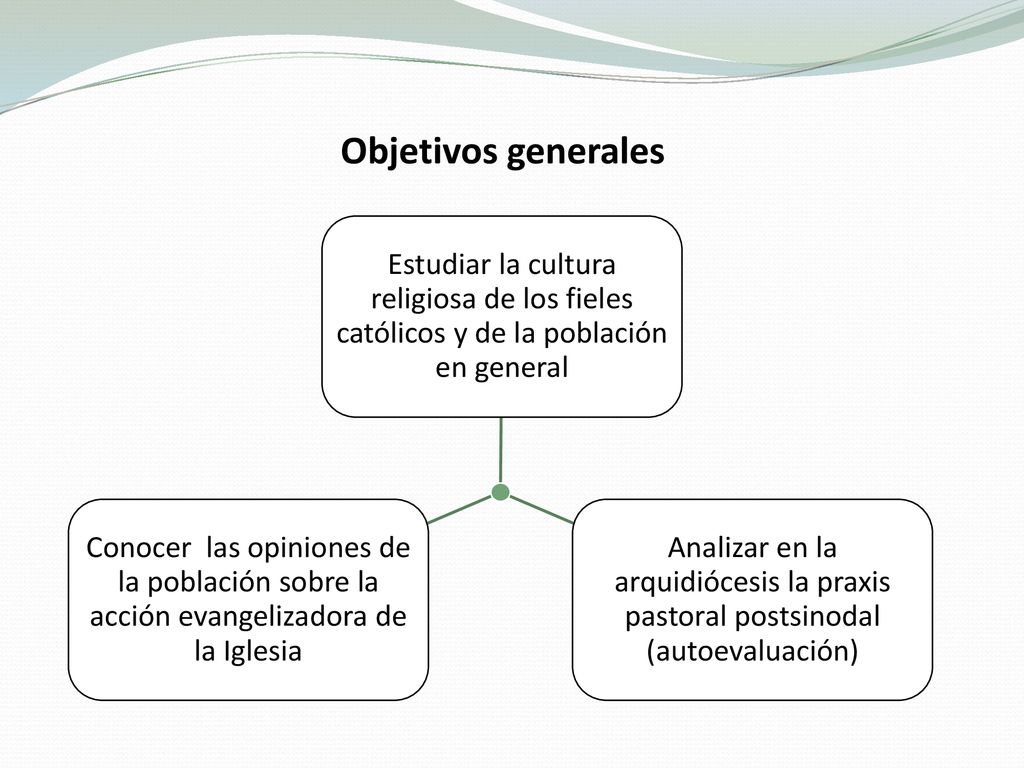 Objetivos generales Estudiar la cultura religiosa de los fieles católicos y de la población en general.