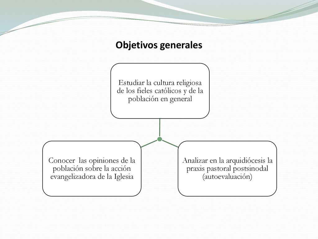 Objetivos generales Estudiar la cultura religiosa de los fieles católicos y de la población en general.