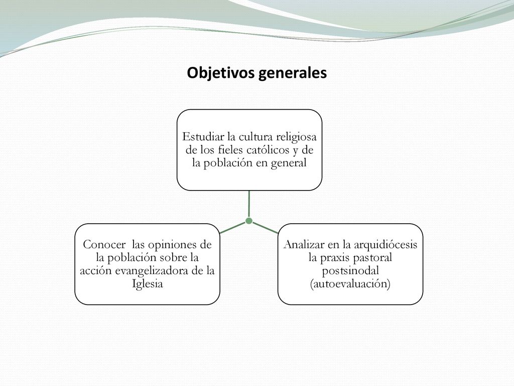 Objetivos generales Estudiar la cultura religiosa de los fieles católicos y de la población en general.