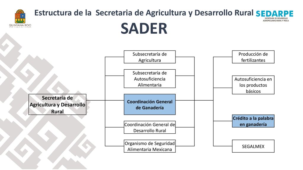 SADER Estructura de la Secretaria de Agricultura y Desarrollo Rural