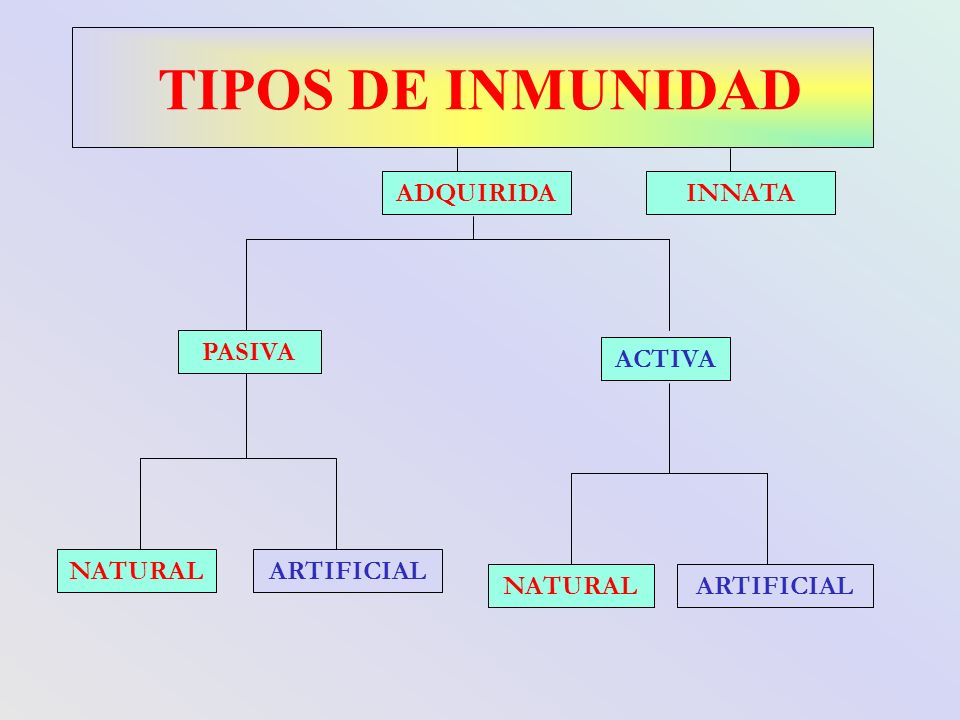 TIPOS DE INMUNIDAD ADQUIRIDA INNATA PASIVA ACTIVA NATURAL ARTIFICIAL