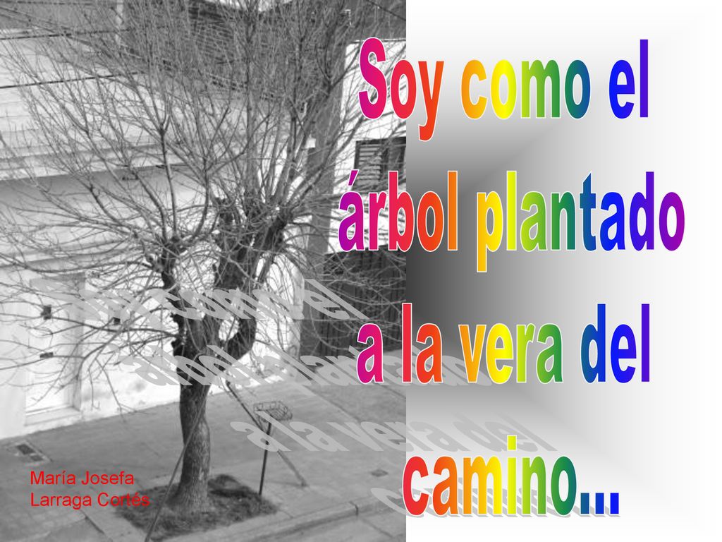 Soy como el árbol plantado a la vera del camino... María Josefa Larraga Cortés