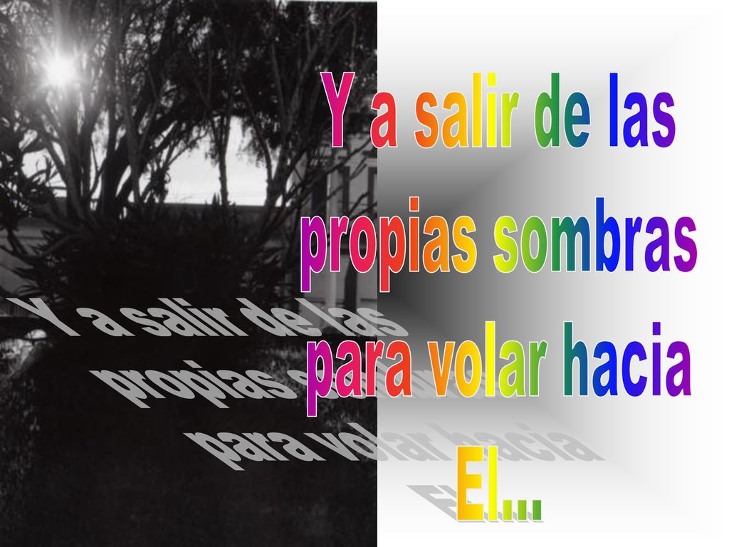 Y a salir de las propias sombras para volar hacia El...