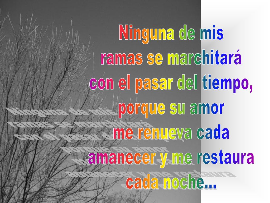Ninguna de mis ramas se marchitará. con el pasar del tiempo, porque su amor. me renueva cada. amanecer y me restaura.