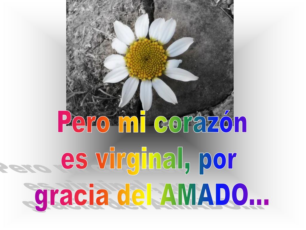 Pero mi corazón es virginal, por gracia del AMADO...