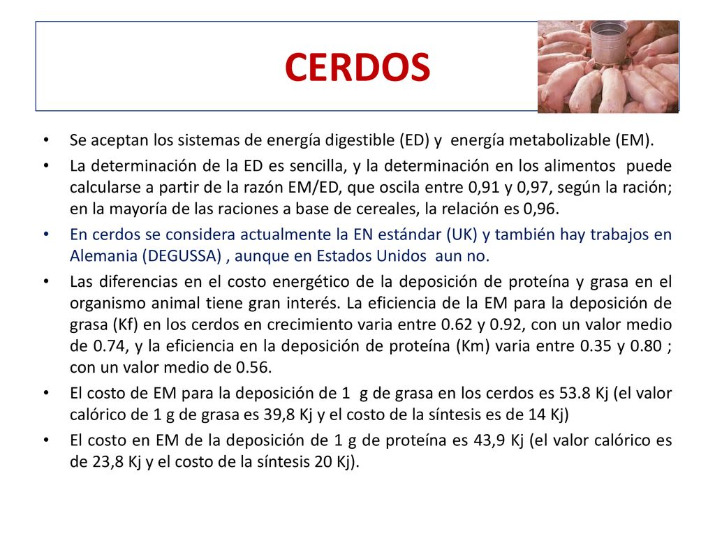 CERDOS Se aceptan los sistemas de energía digestible (ED) y energía metabolizable (EM).