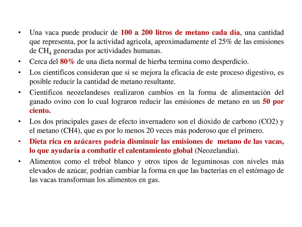Una vaca puede producir de 100 a 200 litros de metano cada día, una cantidad que representa, por la actividad agrícola, aproximadamente el 25% de las emisiones de CH4 generadas por actividades humanas.