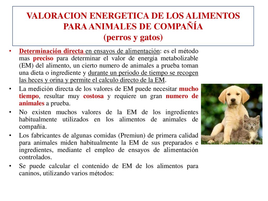 VALORACION ENERGETICA DE LOS ALIMENTOS PARA ANIMALES DE COMPAÑÍA (perros y gatos)