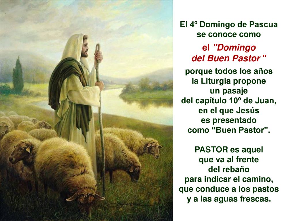El Buen Pastor “Mis ovejas escuchan mi voz". - ppt descargar