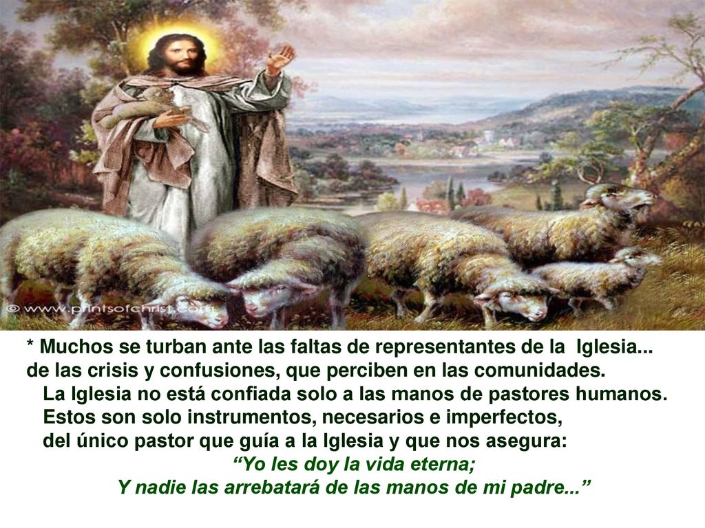 La Iglesia no está confiada solo a las manos de pastores humanos.