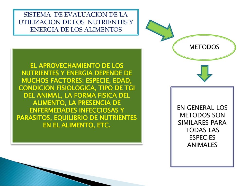 EN GENERAL LOS METODOS SON SIMILARES PARA TODAS LAS ESPECIES ANIMALES