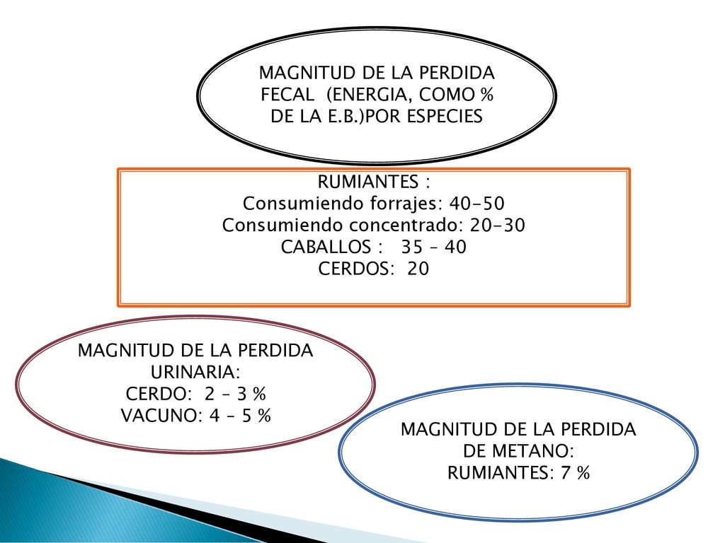 MAGNITUD DE LA PERDIDA FECAL (ENERGIA, COMO % DE LA E.B.)POR ESPECIES