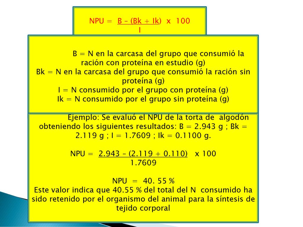 Bk = N en la carcasa del grupo que consumió la ración sin proteína (g)
