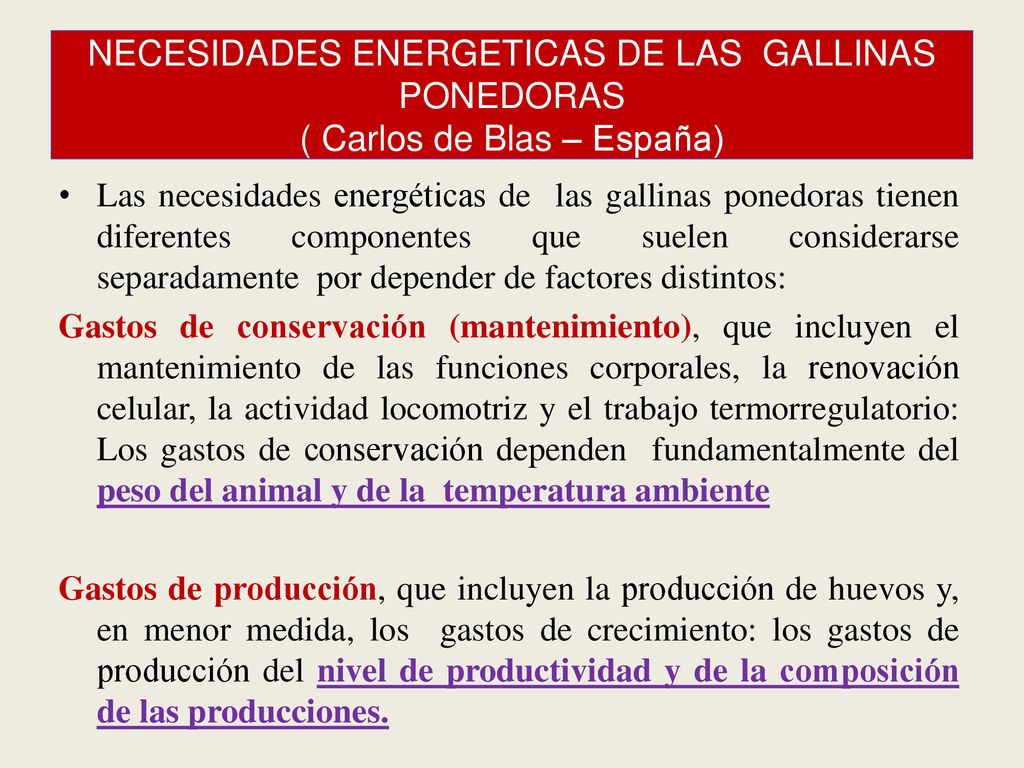 NECESIDADES ENERGETICAS DE LAS GALLINAS PONEDORAS ( Carlos de Blas – España)