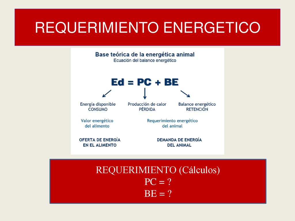 REQUERIMIENTO ENERGETICO Principios básicos - ppt descargar