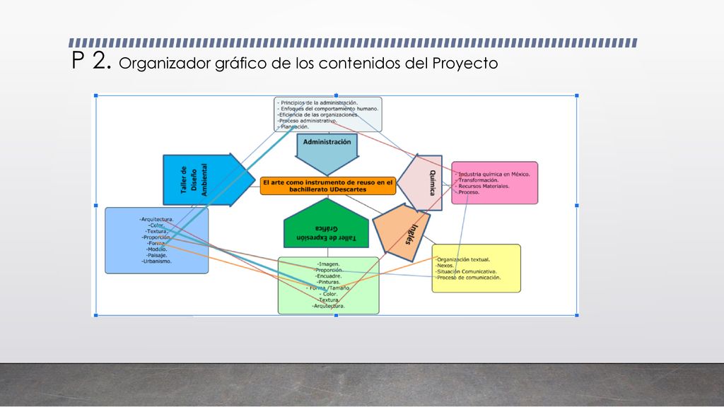 P 2. Organizador gráfico de los contenidos del Proyecto
