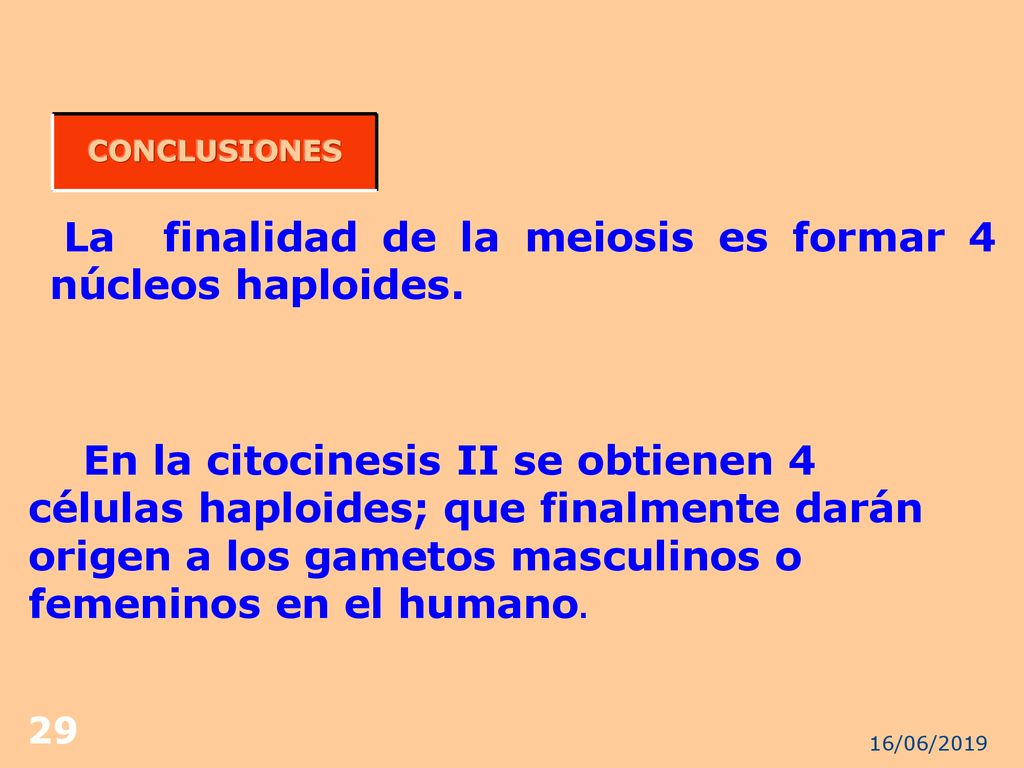 La finalidad de la meiosis es formar 4 núcleos haploides.
