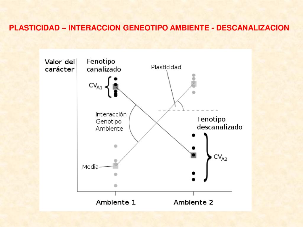 PLASTICIDAD – INTERACCION GENEOTIPO AMBIENTE - DESCANALIZACION
