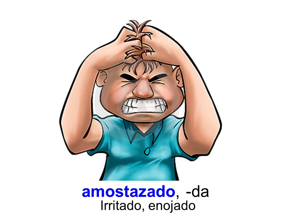 amostazado, -da Irritado, enojado