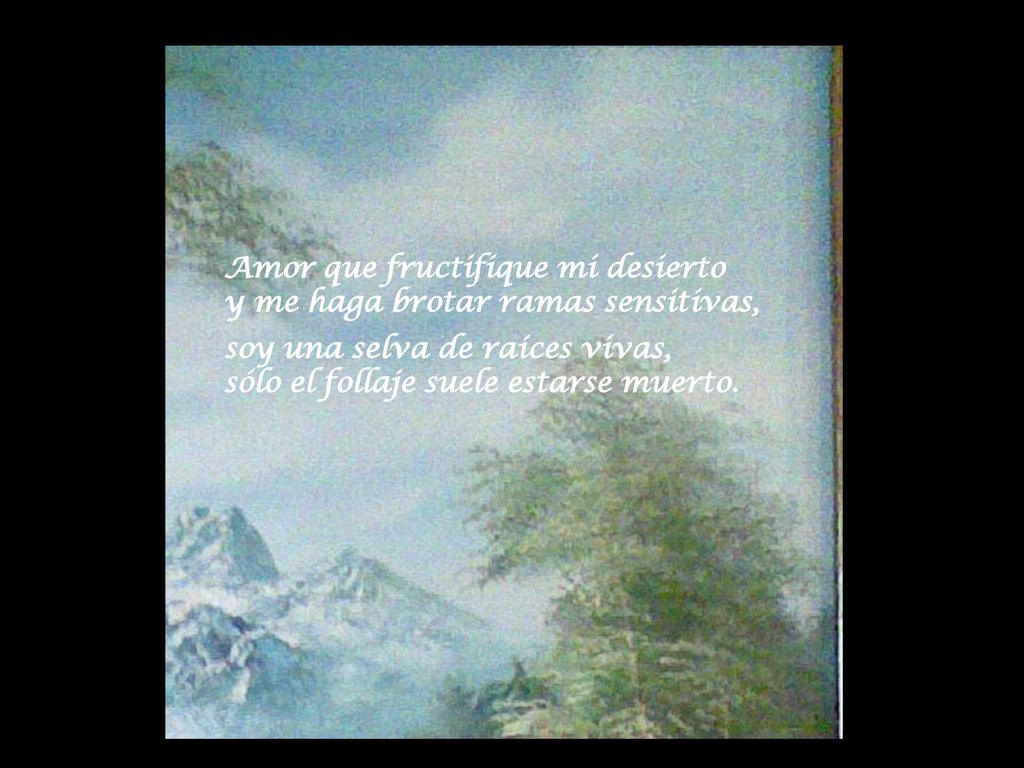 Amor que fructifique mi desierto y me haga brotar ramas sensitivas,