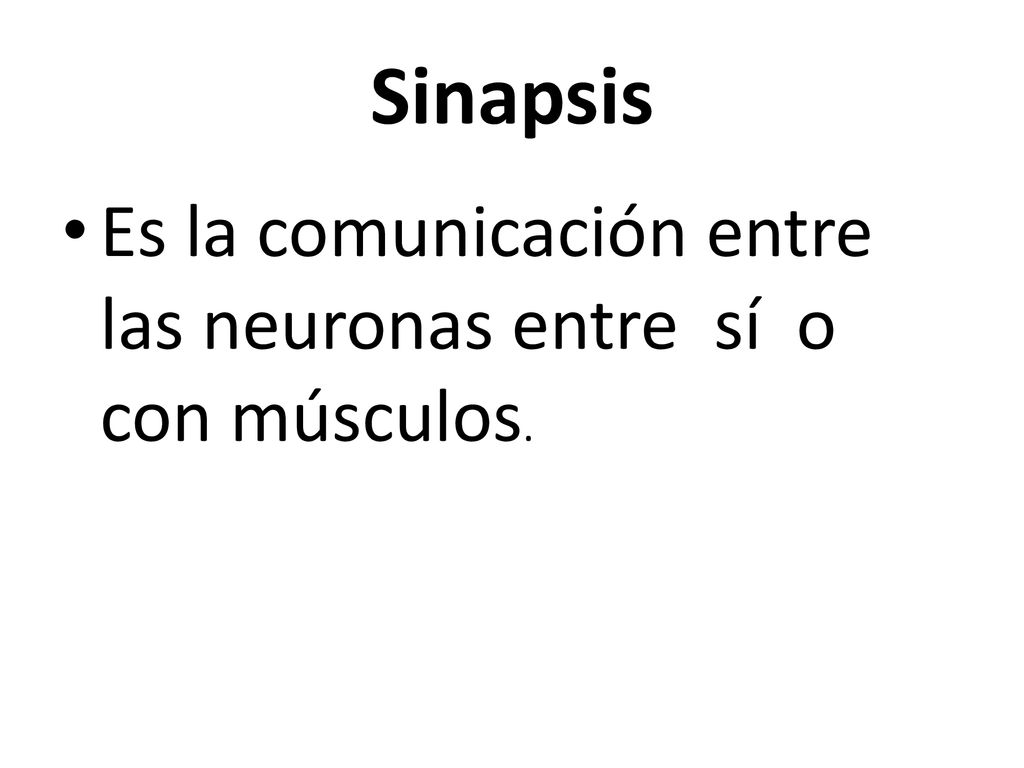 Sinapsis Es la comunicación entre las neuronas entre sí o con músculos.