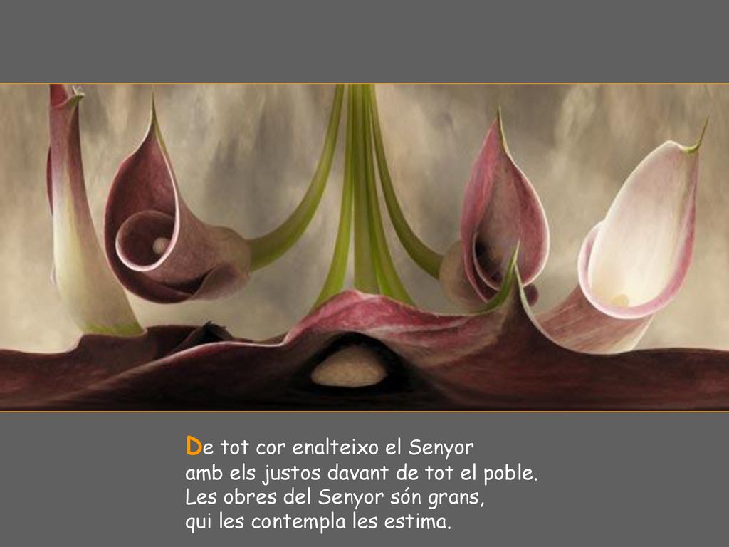 De tot cor enalteixo el Senyor