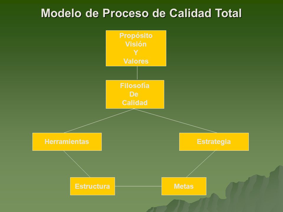 Modelo de Proceso de Calidad Total