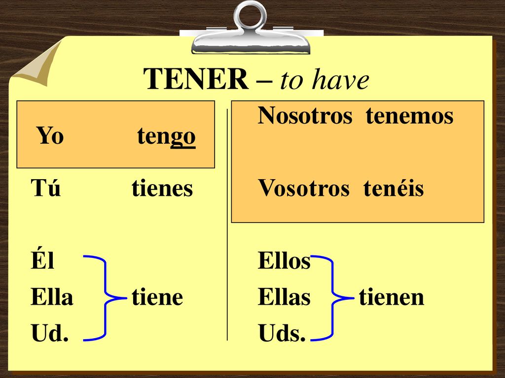 TENER – to have Tú tienes Él Ella tiene Ud. Nosotros tenemos