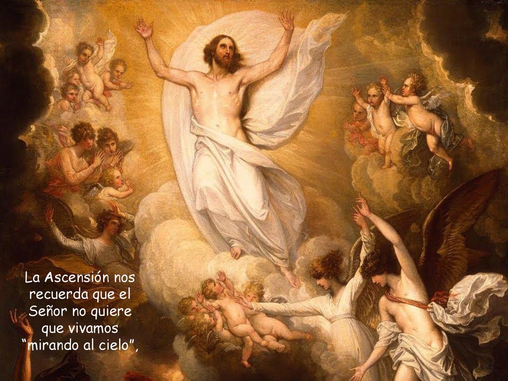 La Ascensión nos recuerda que el Señor no quiere que vivamos mirando al cielo ,
