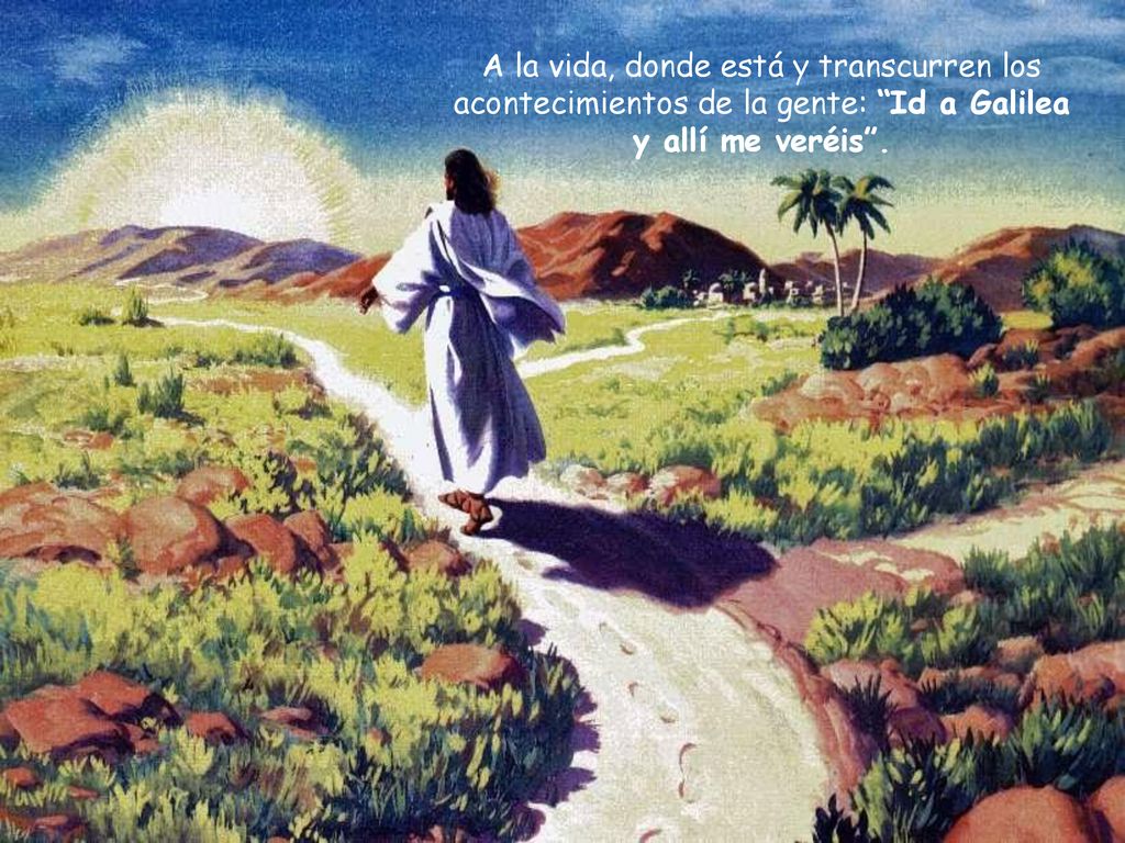 A la vida, donde está y transcurren los acontecimientos de la gente: Id a Galilea y allí me veréis .