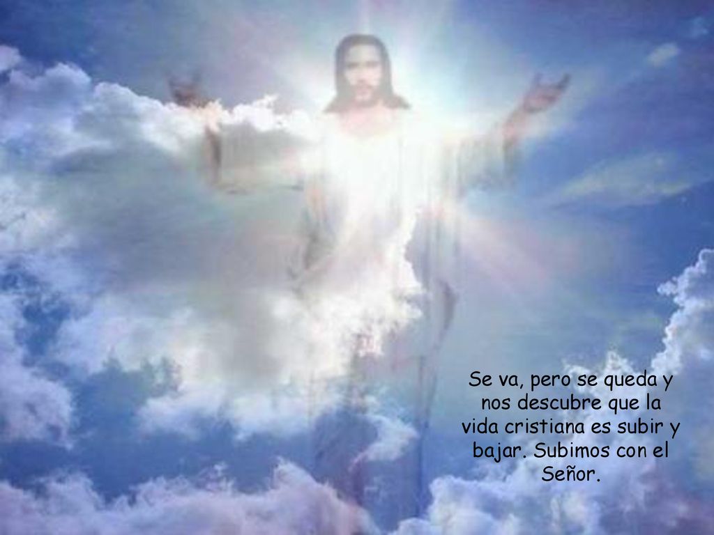 Se va, pero se queda y nos descubre que la vida cristiana es subir y bajar. Subimos con el Señor.