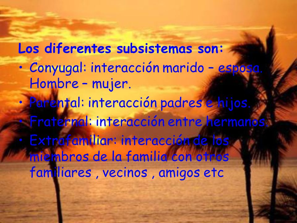 Los diferentes subsistemas son: