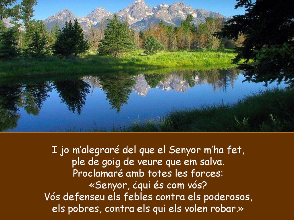 I jo m’alegraré del que el Senyor m’ha fet,