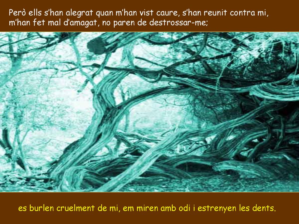 Però ells s’han alegrat quan m’han vist caure, s’han reunit contra mi,